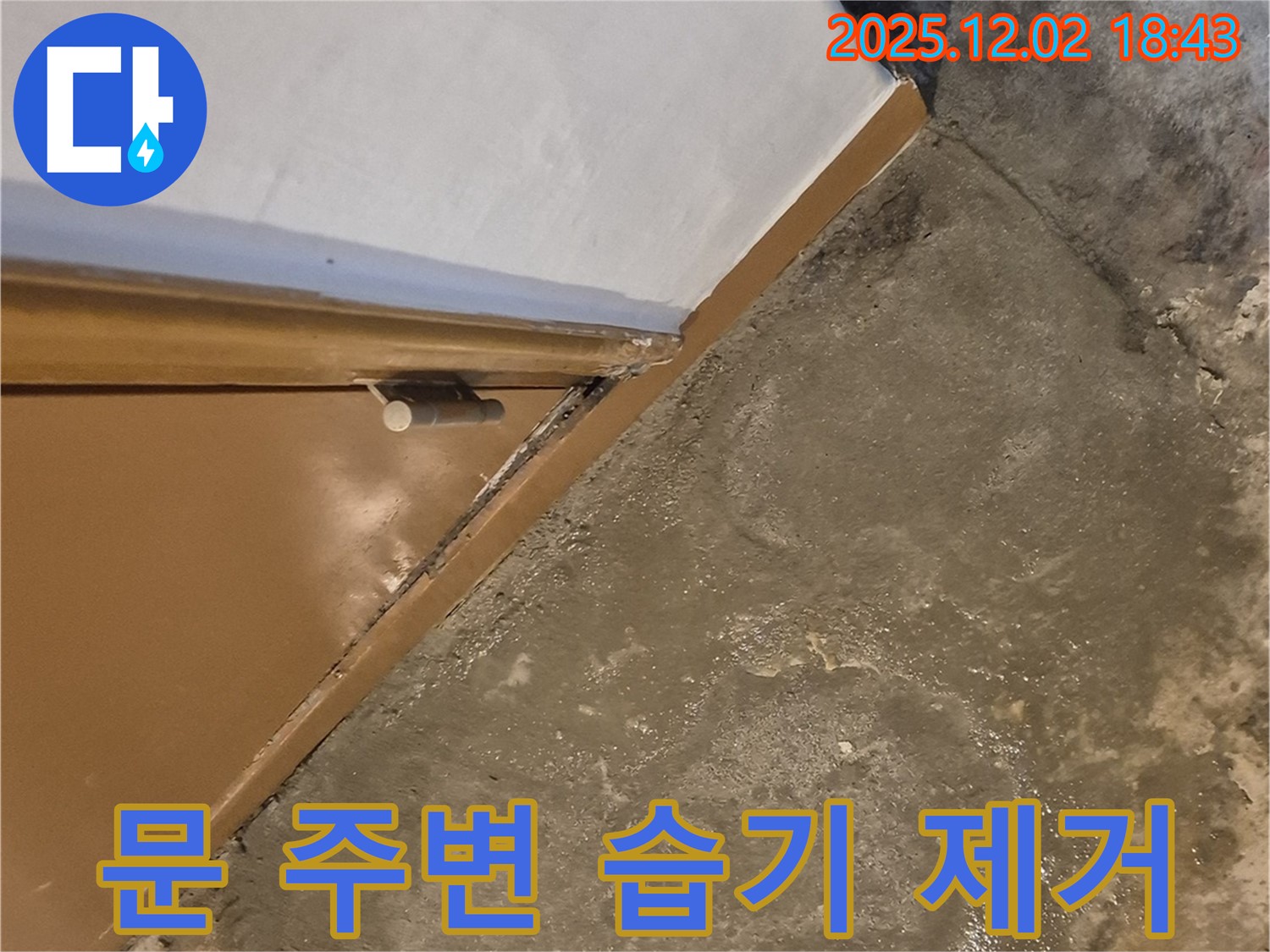 문 주변 습기 - 곰팡이 완벽 제거