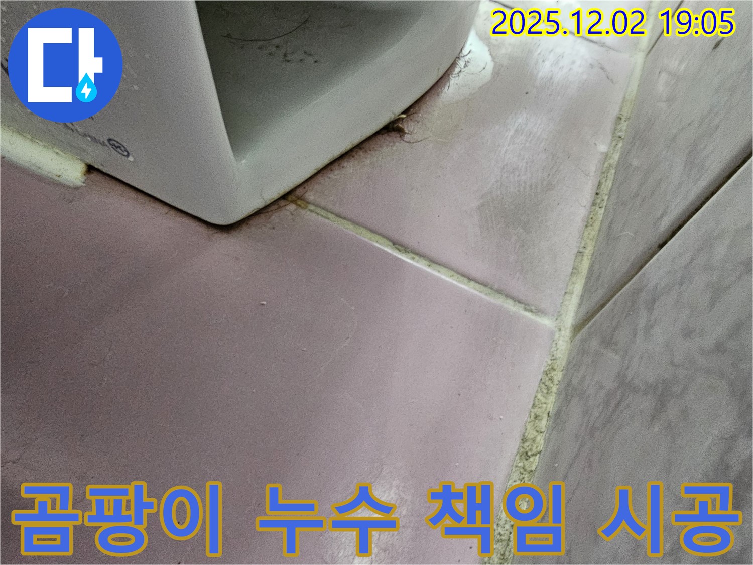 곰팡이 누수 - 동작구 누수 전문 업체가 책임지고 완벽하게 시공 약속!