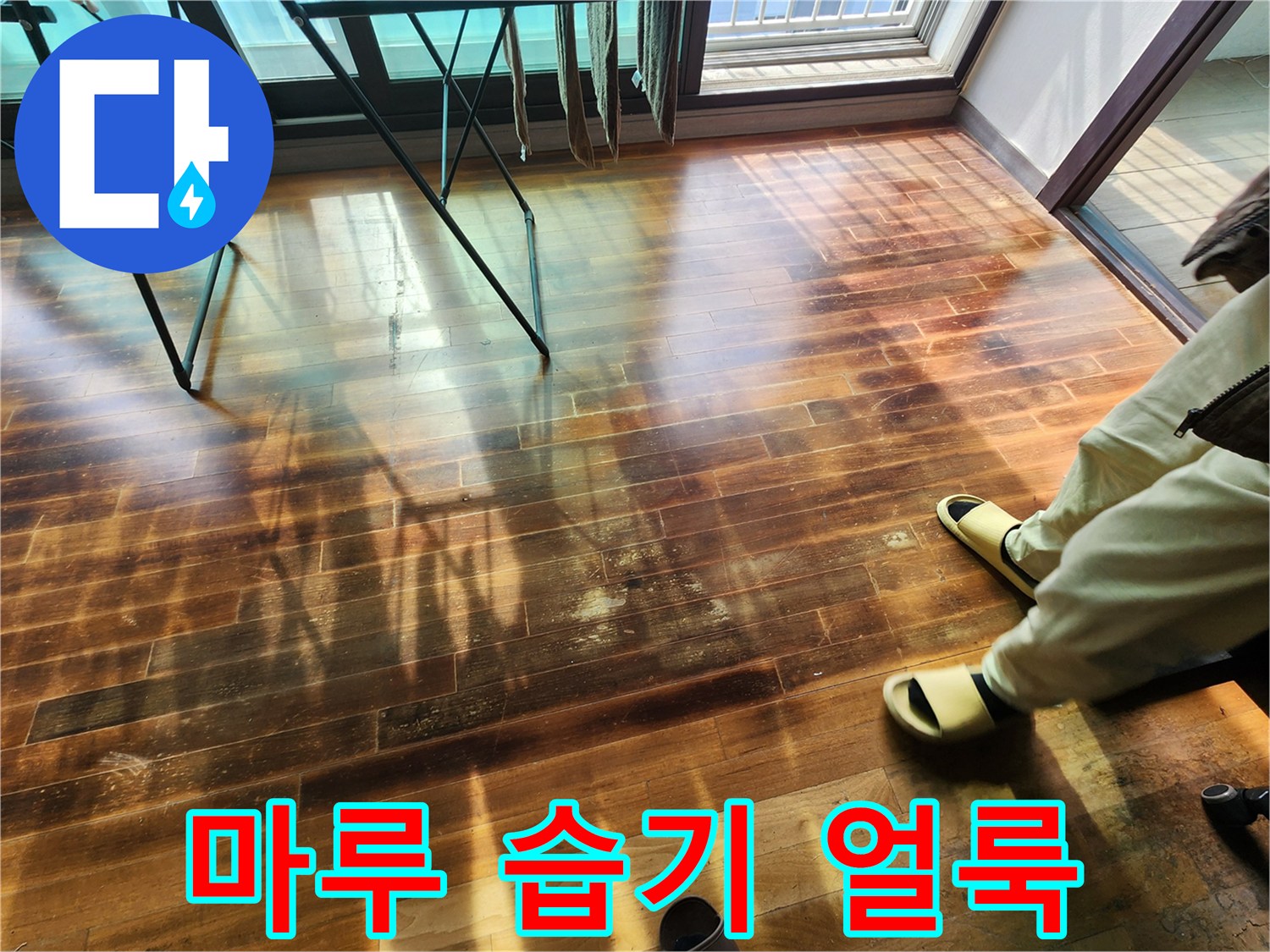 물샘-증상이-나타난-거실-마루-바닥