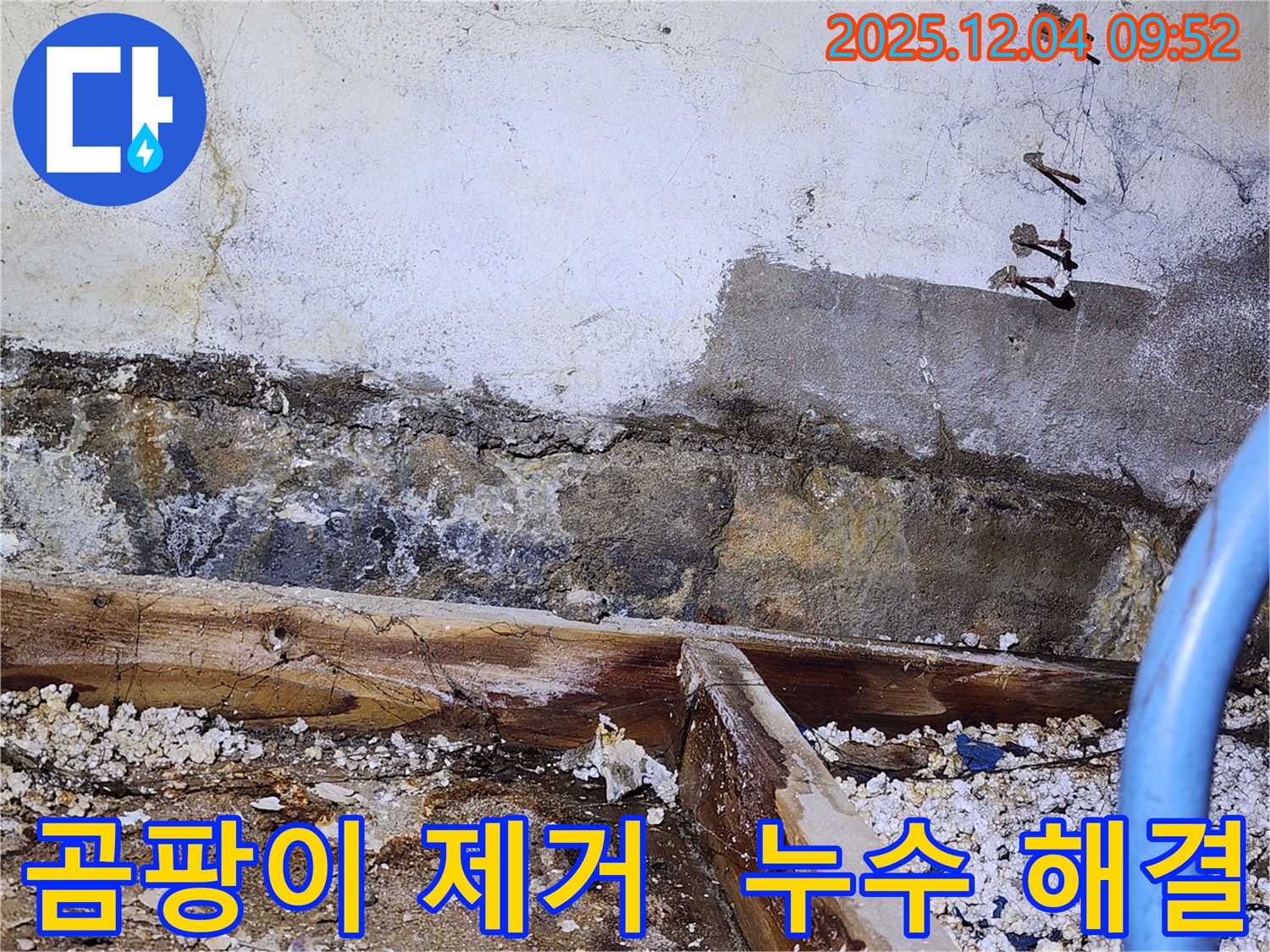마장동 누수 - 누수 해결과 함께 곰팡이 제거까지