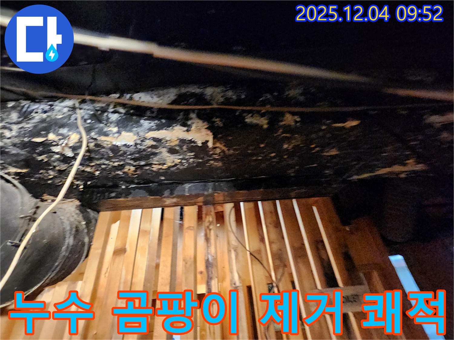 마조로 누수 - 곰팡이 OUT! 쾌적한 공간으로 변신