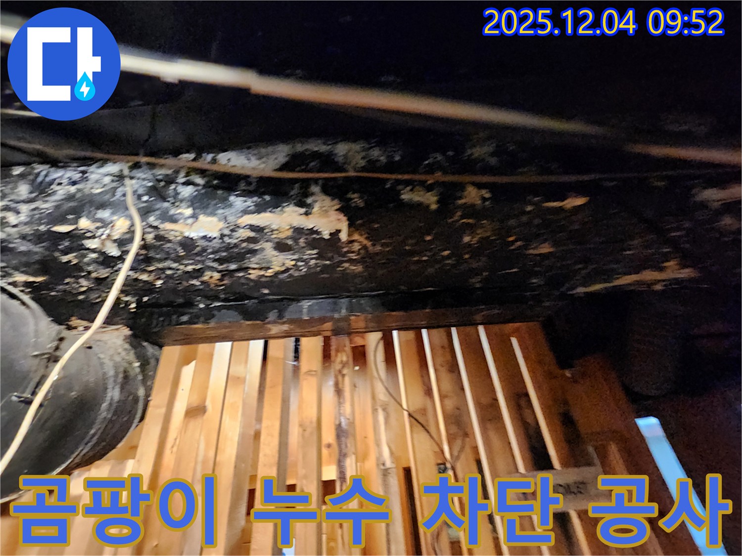 마조로 누수 - 곰팡이 누수 완벽 차단 공사