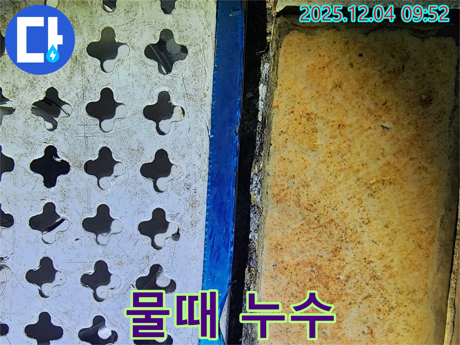 배수구 주변 물때 - 지속적인 누수의 증거