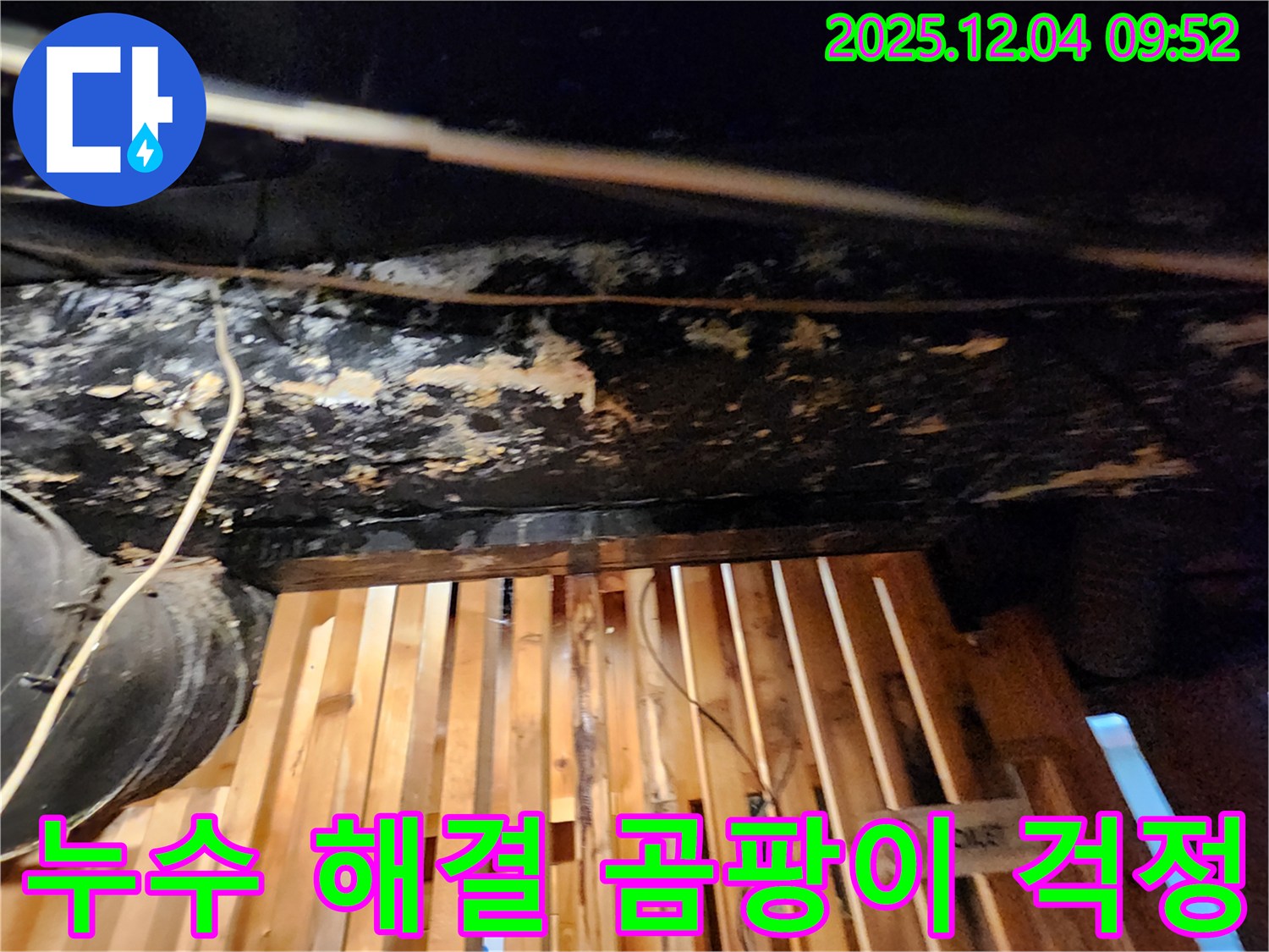 성동구 누수 - 곰팡이 걱정 없이 쾌적한 환경으로