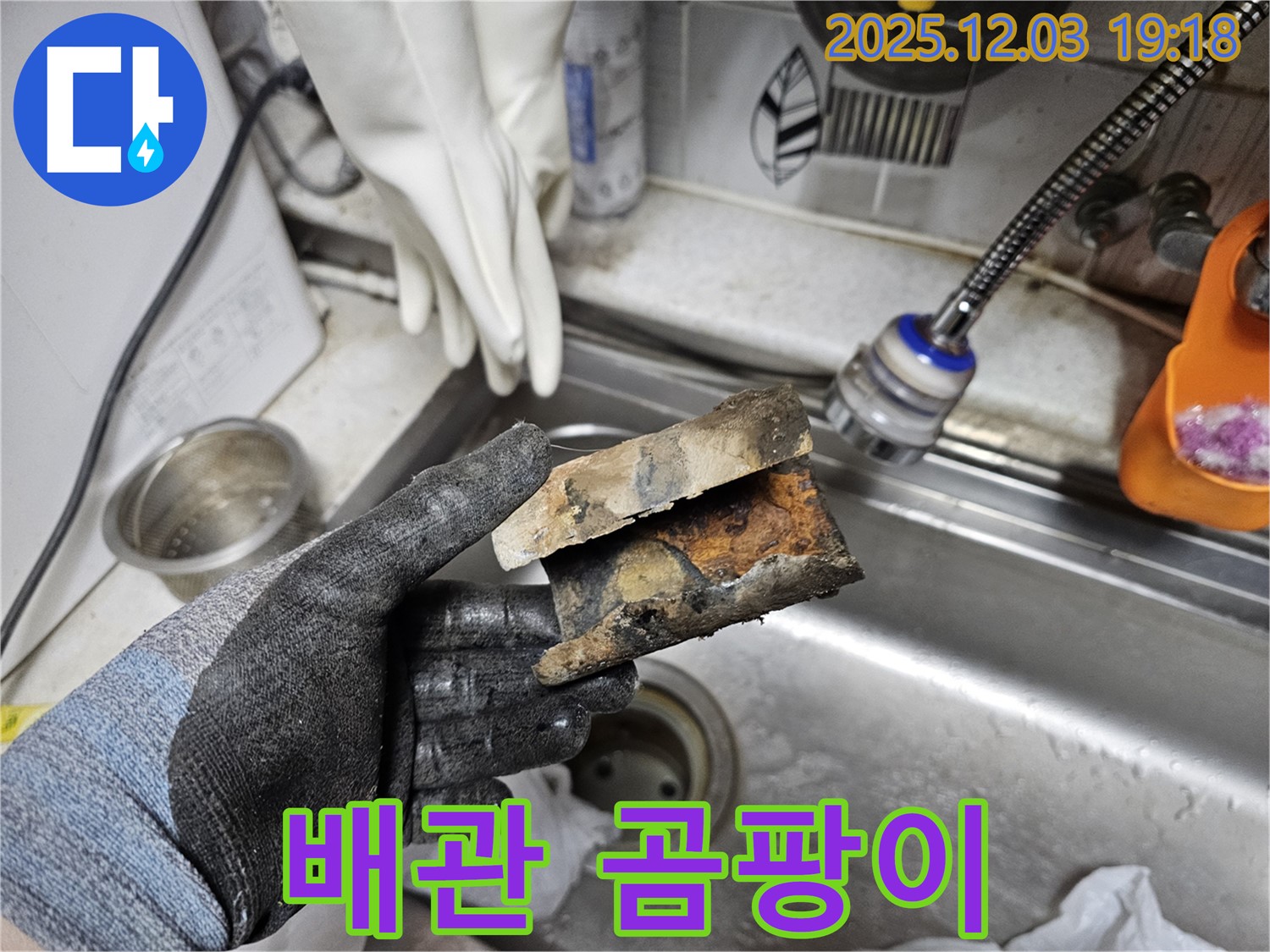 배관 속 곰팡이 - 누수와 곰팡이의 콜라보