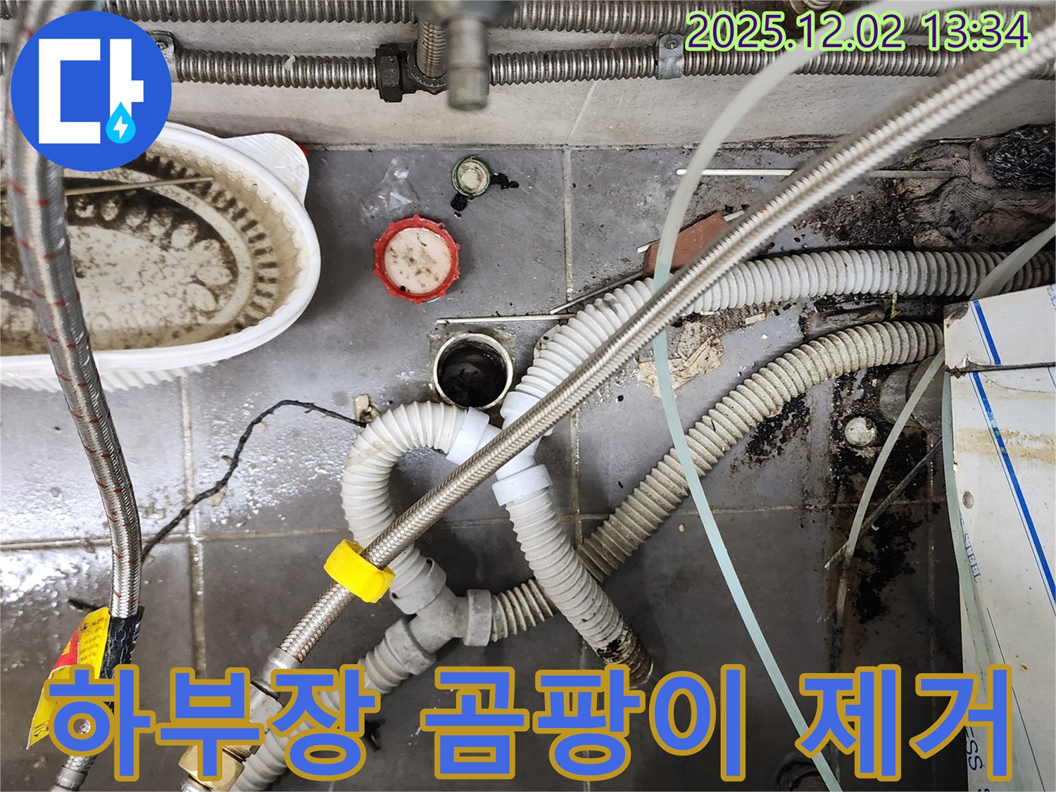 싱크대 하부장 곰팡이 - 누수 원인 제거 및 곰팡이 청소