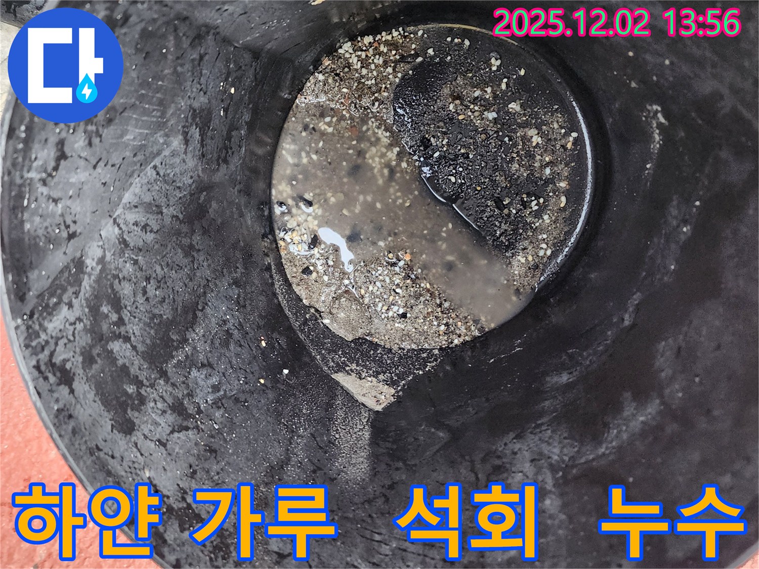양동이 속 하얀 가루 - 석회 성분 의심