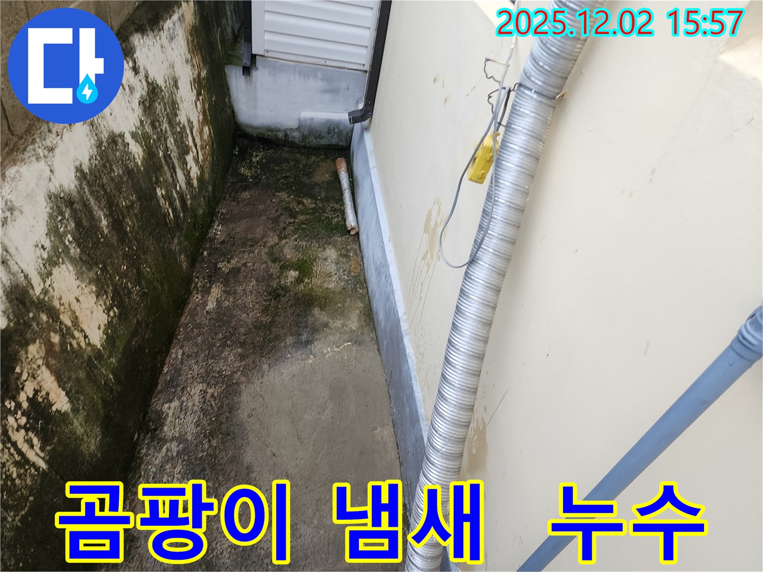곰팡이 냄새 - 숨겨진 누수 의심 탐지