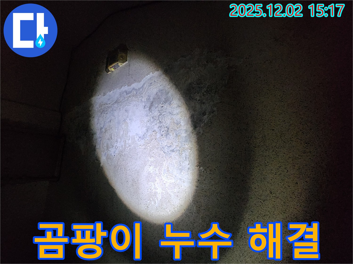 곰팡이 - 누수 해결의 핵심