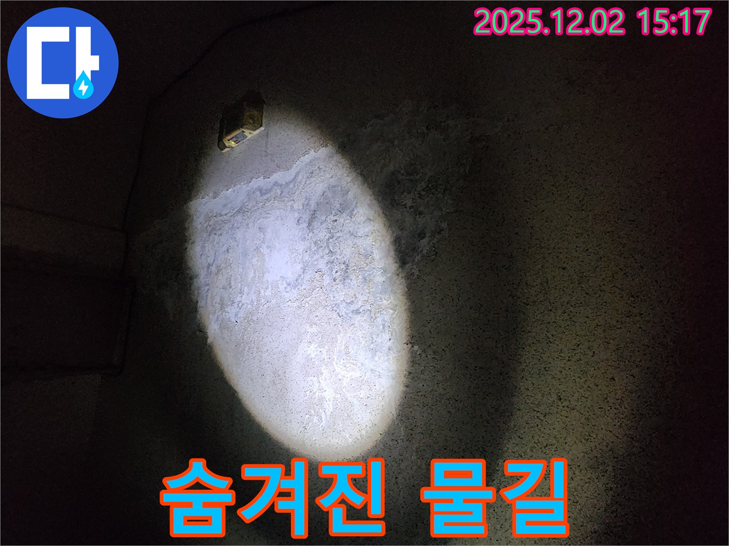 곰팡이 - 숨겨진 물길 추적