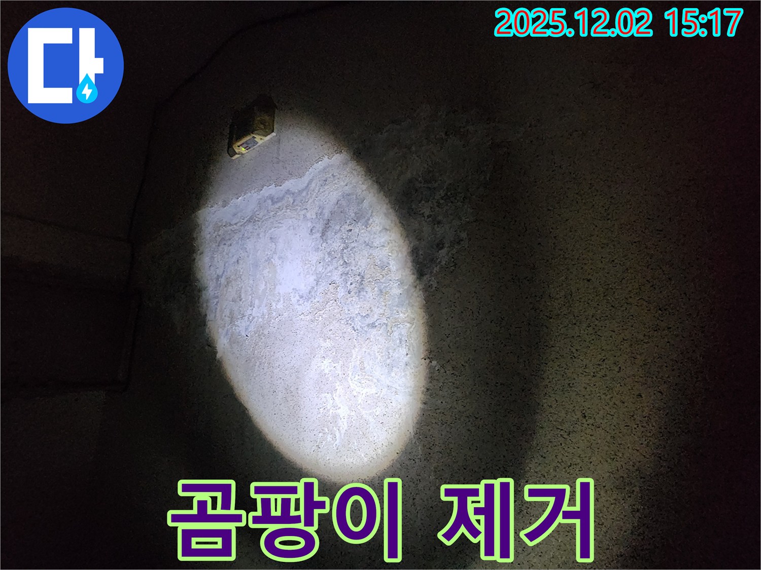 곰팡이 제거 - 건강한 집 만들기