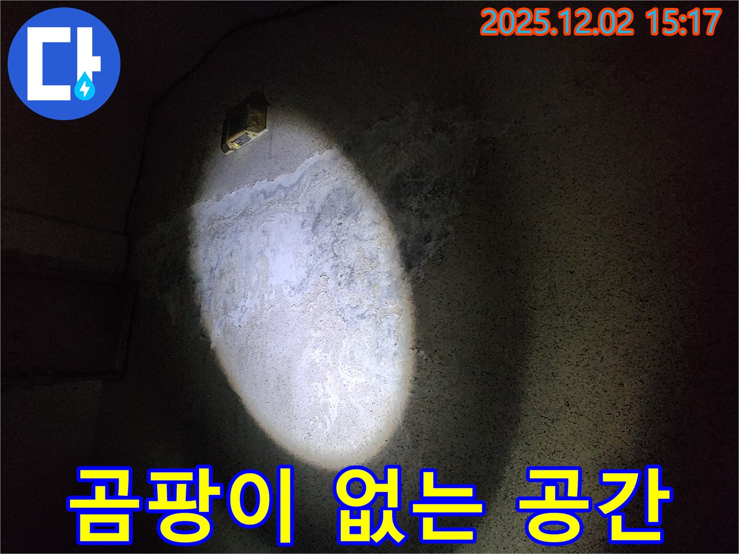 곰팡이 - 쾌적한 공간의 적