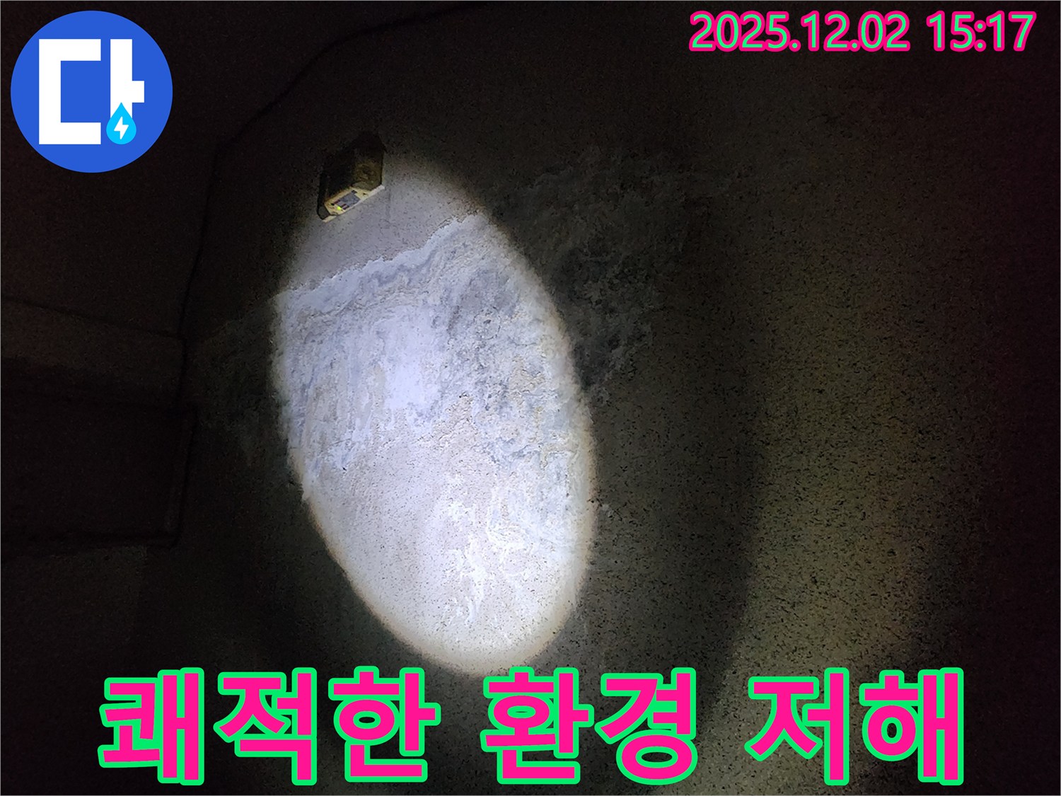 곰팡이 - 쾌적한 환경을 저해
