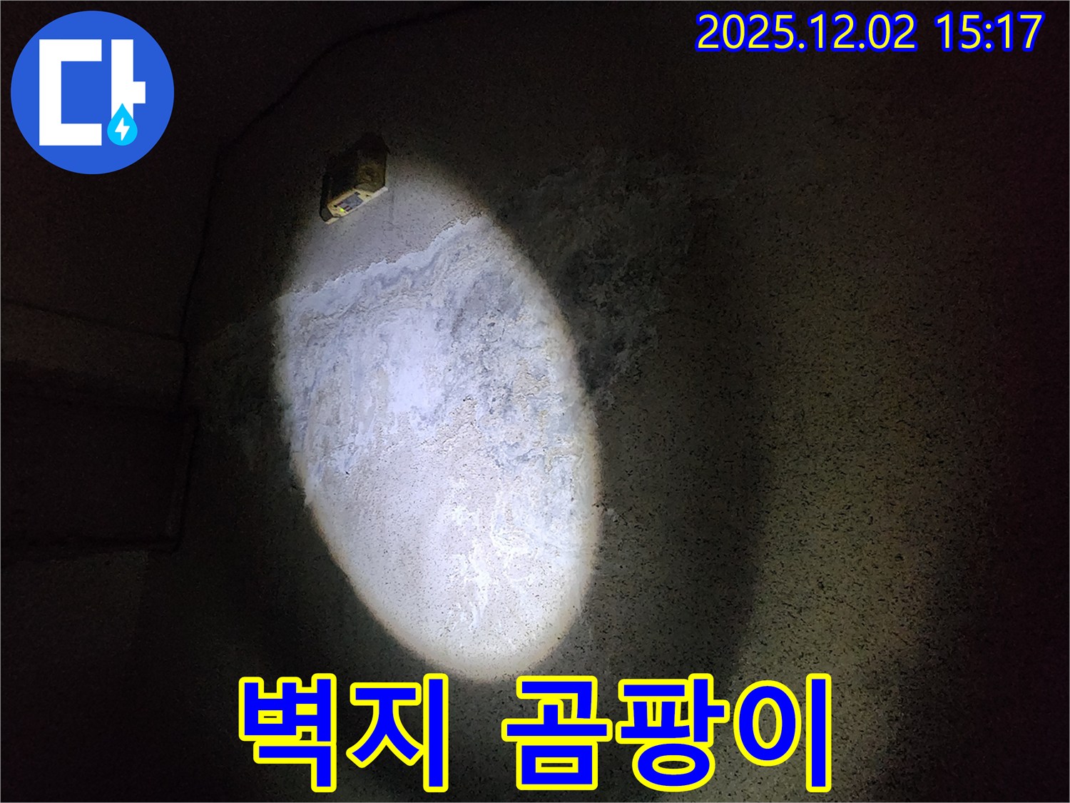 벽지 곰팡이 - 누수 문제의 결과