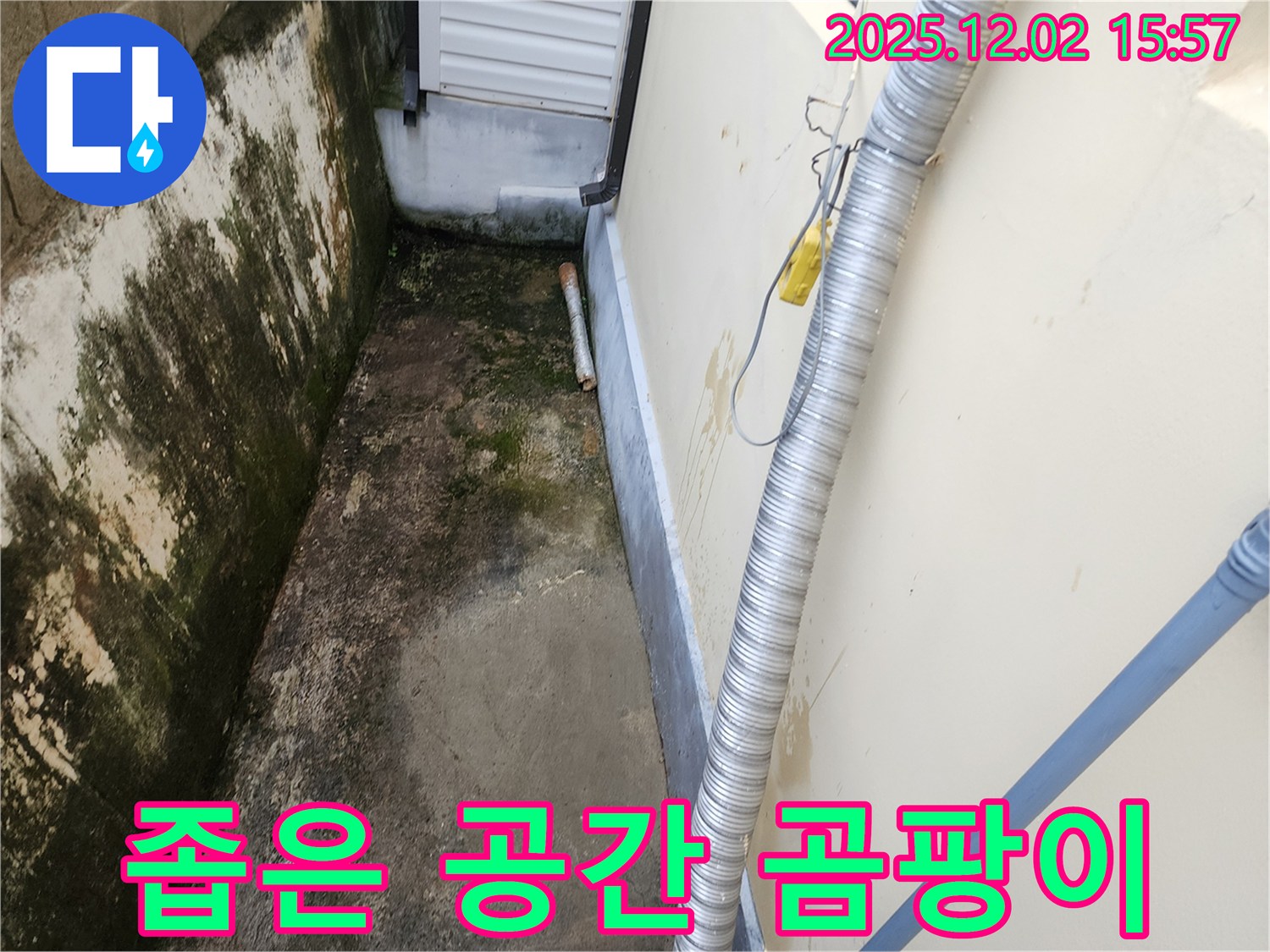 좁은 공간 곰팡이 - 환기 불량 누수 의심