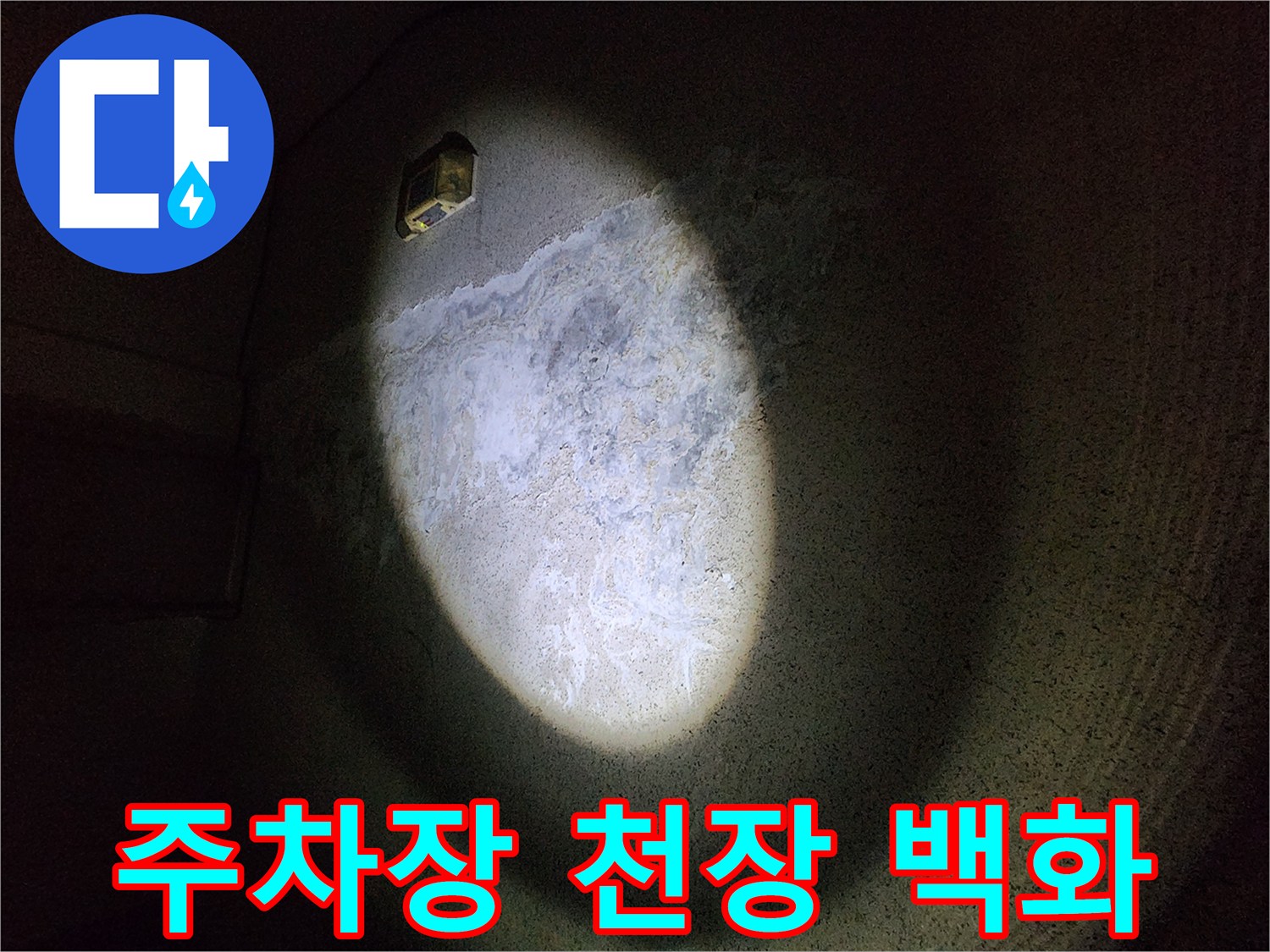 지하 주차장 천장 슬래브-백화 현상이 발생한 모습