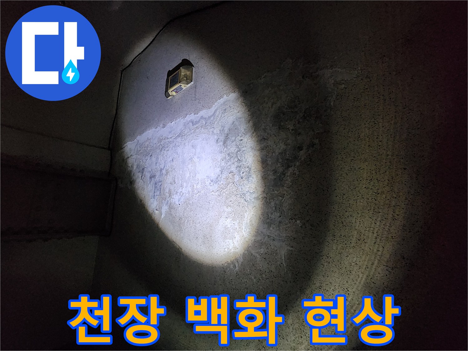 하얀 백화 가루가 맺힌 지하 주차장 천장 벽면