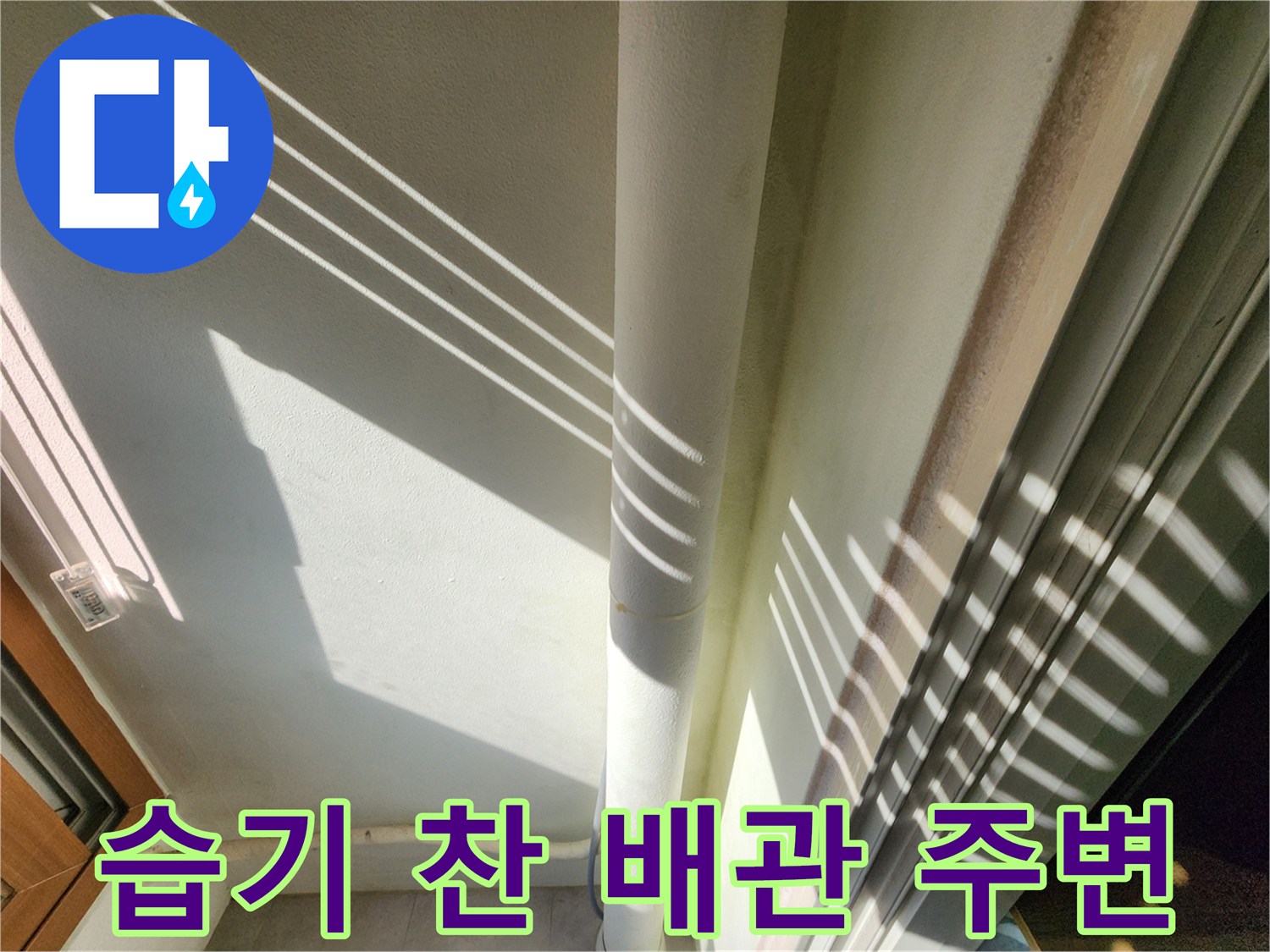베란다 벽면의 습기와 수직 배관 모습입니다.