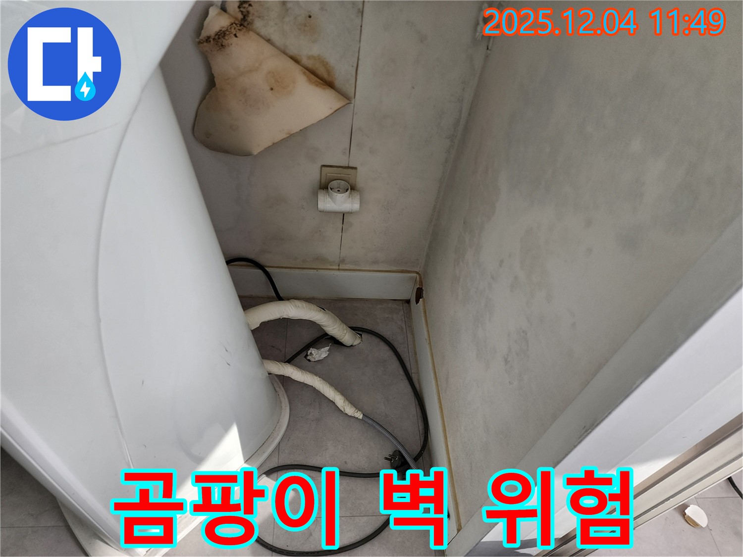 일동면 - 곰팡이 핀 벽 - 건강 위협