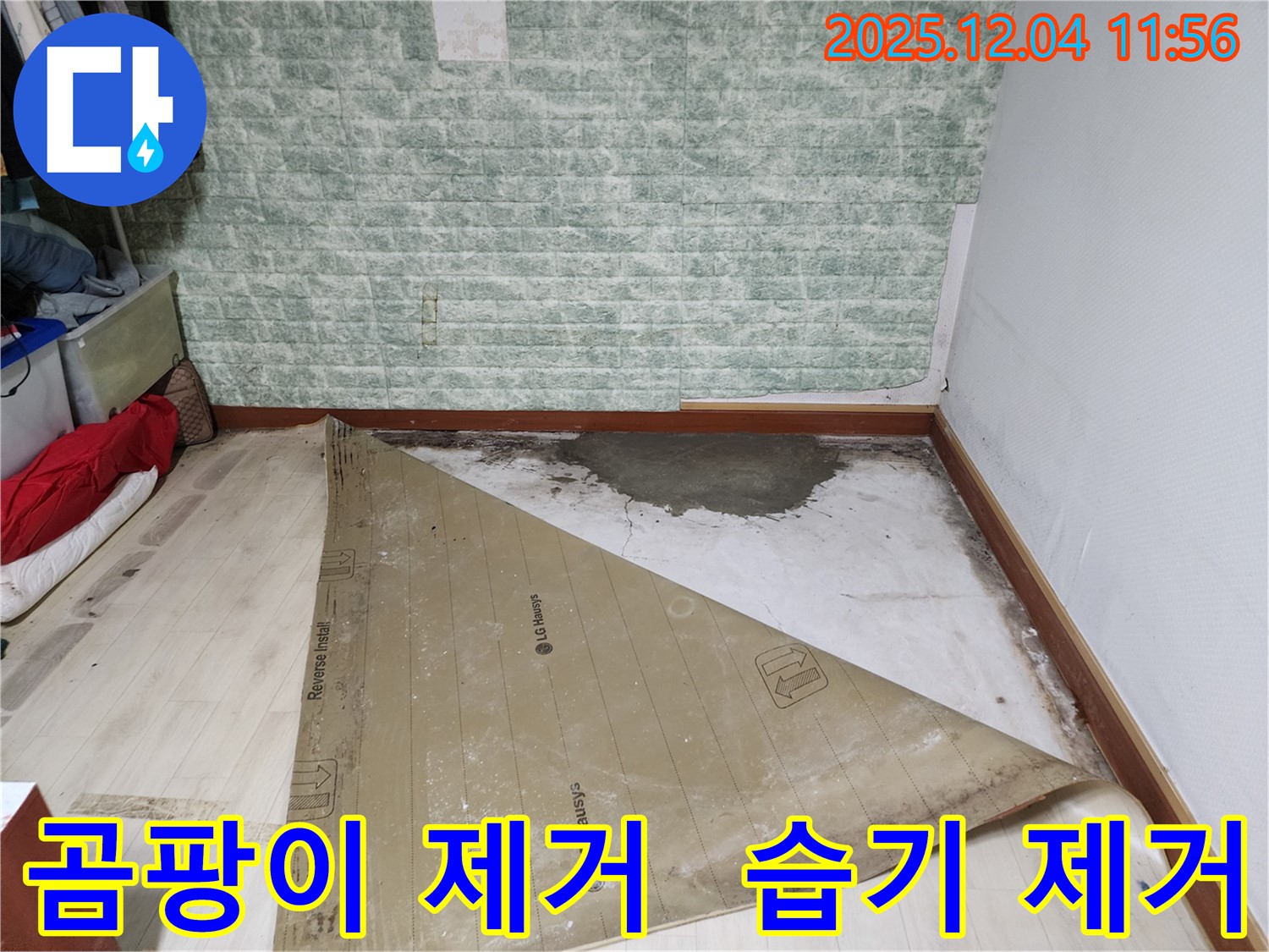 일동면 누수 - 곰팡이 냄새 습기 제거 깨끗하게!