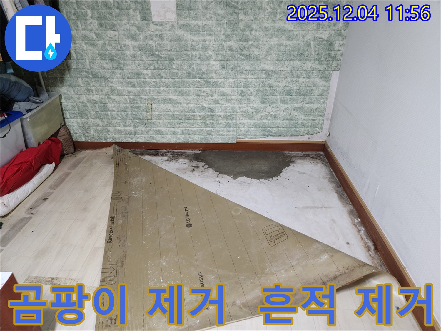 일동면 누수 - 장판 밑 곰팡이와 누수 흔적 제거