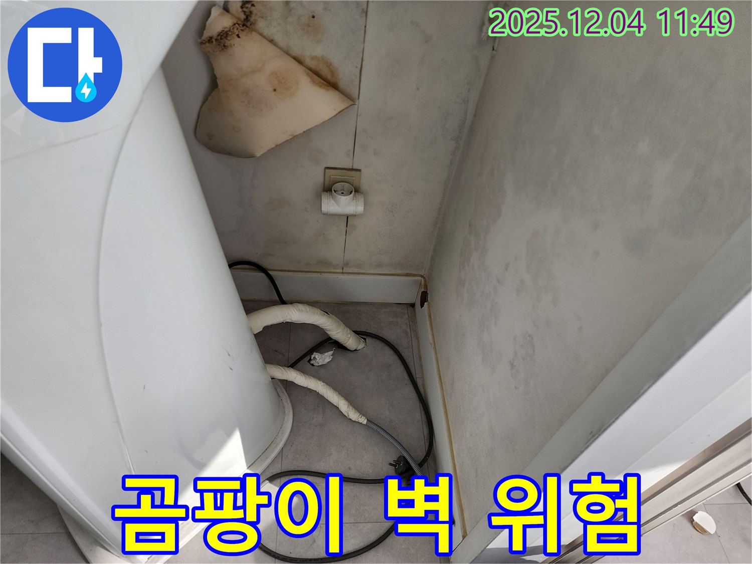 포천 - 곰팡이 핀 벽, 건강 위협