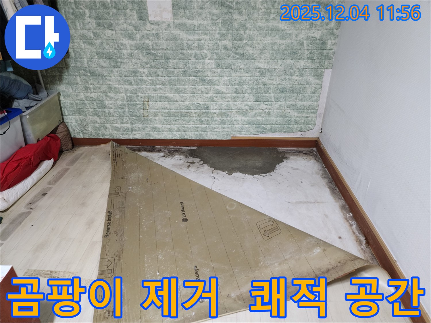 포천 누수 해결 - 곰팡이 냄새 제거 상쾌한 공간으로!