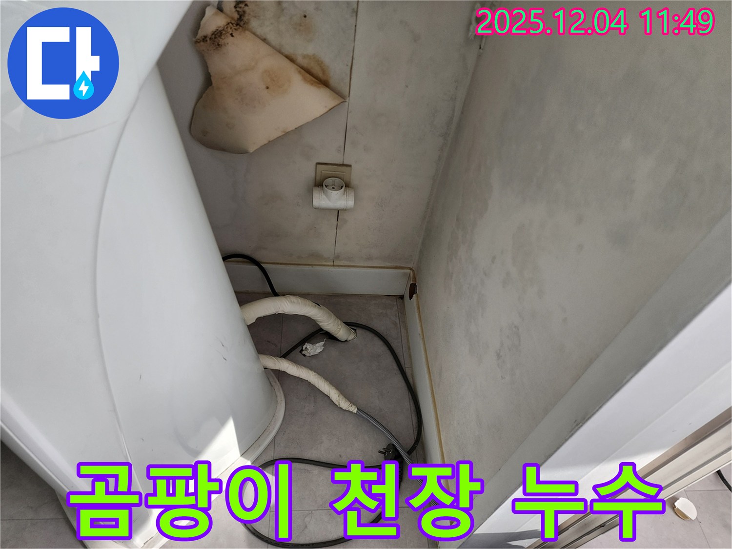 포천 일동 - 곰팡이 핀 천장 - 누수 해결 우선