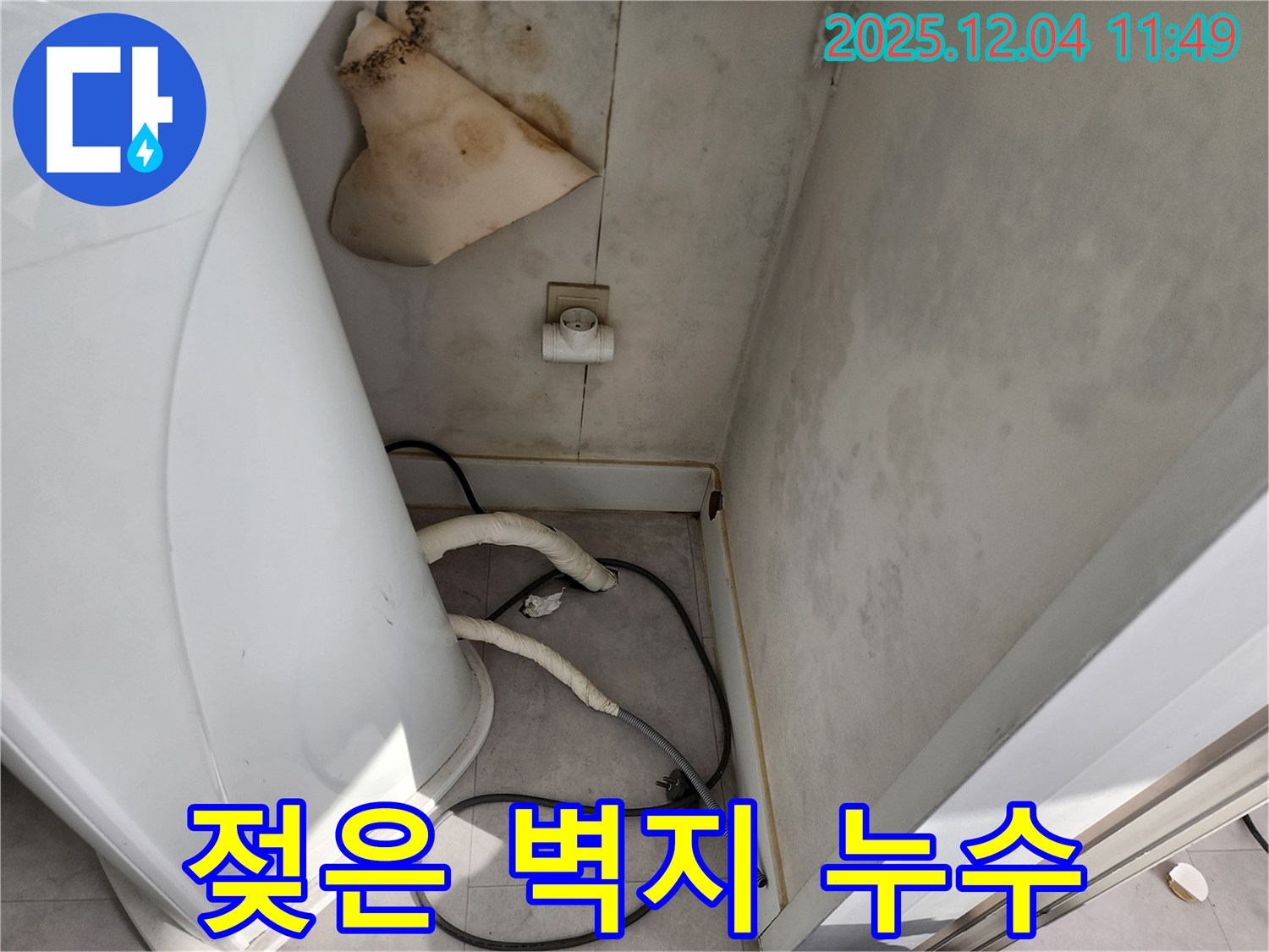 포천 - 젖은 벽지 - 곰팡이 번식 전에 해결