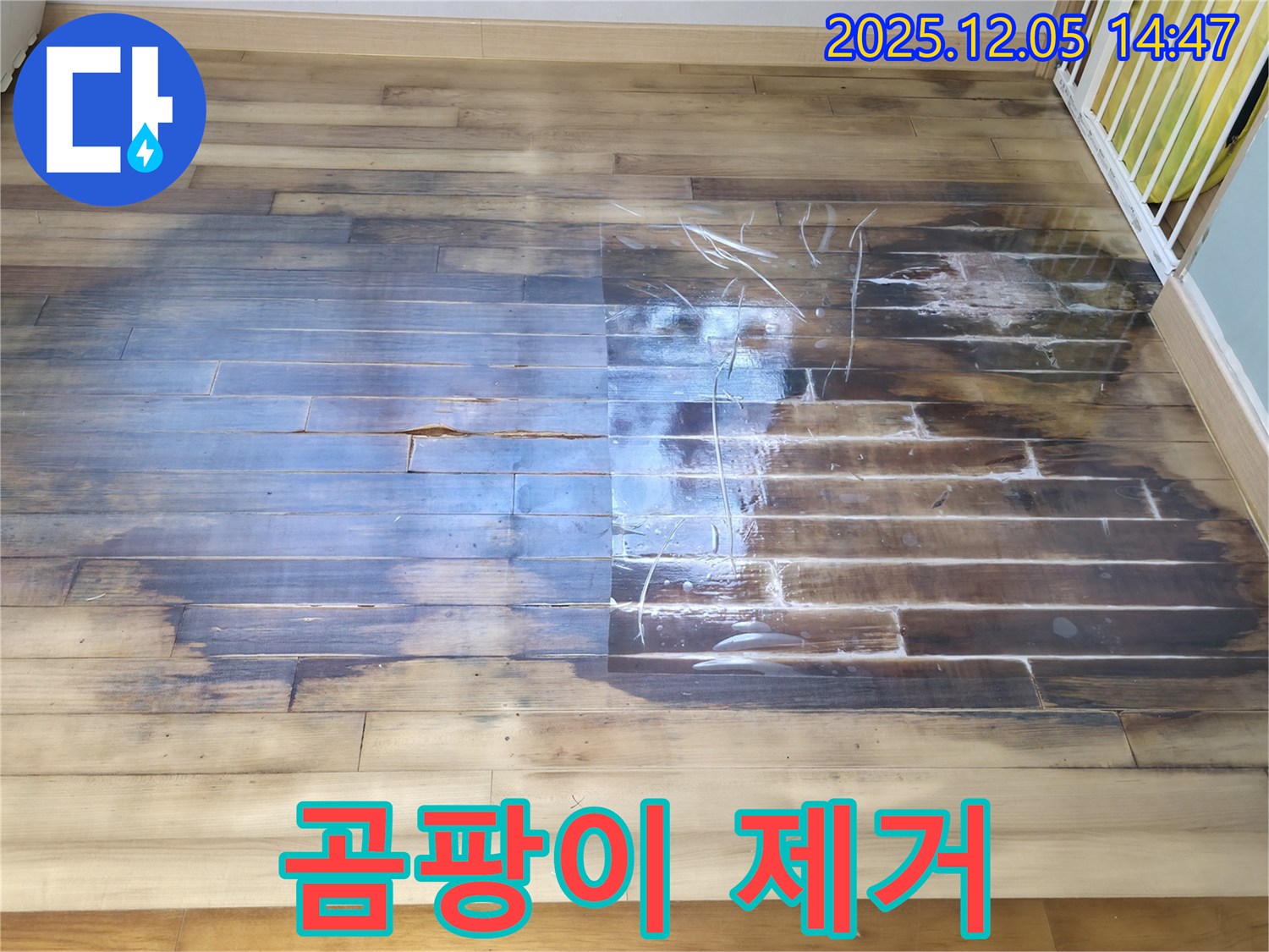 곰팡이 제거 - 누수로 인한 마루 곰팡이 제거 작업