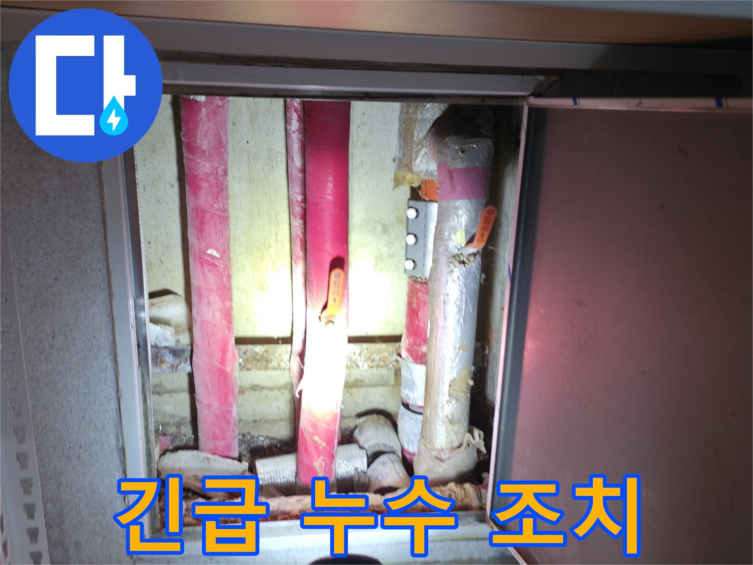 긴급 누수 조치 - 피해 최소화 최우선