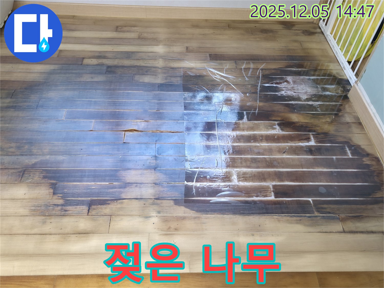 젖은 나무 - 누수로 인해 젖은 마루