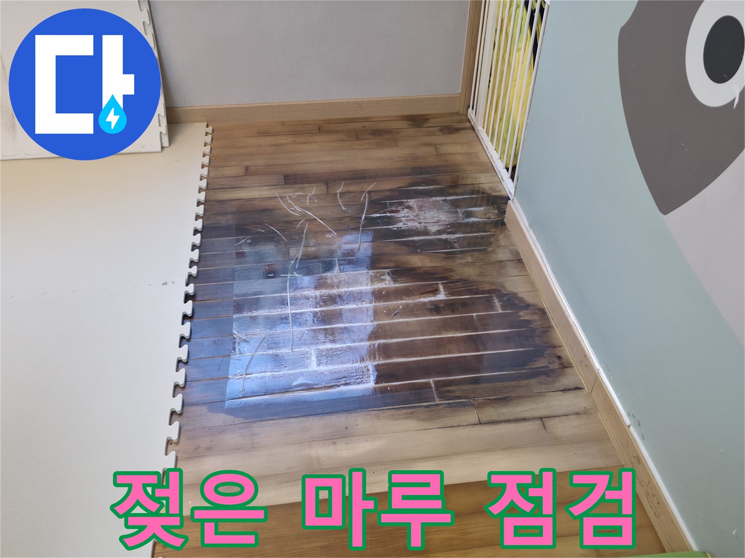 젖은 마루 부위 점검 - 누수 전문가의 꼼꼼한 진단 과정입니다.