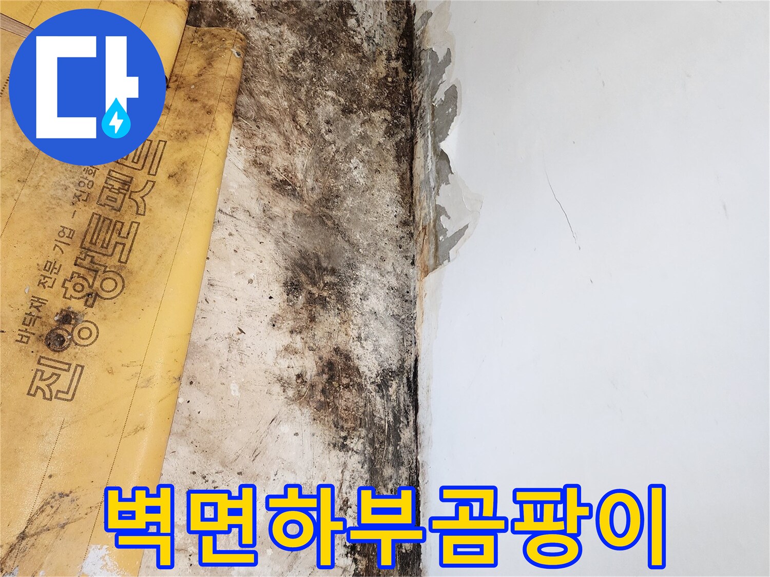 검게 변한 벽면 하단 곰팡이 오염 부위