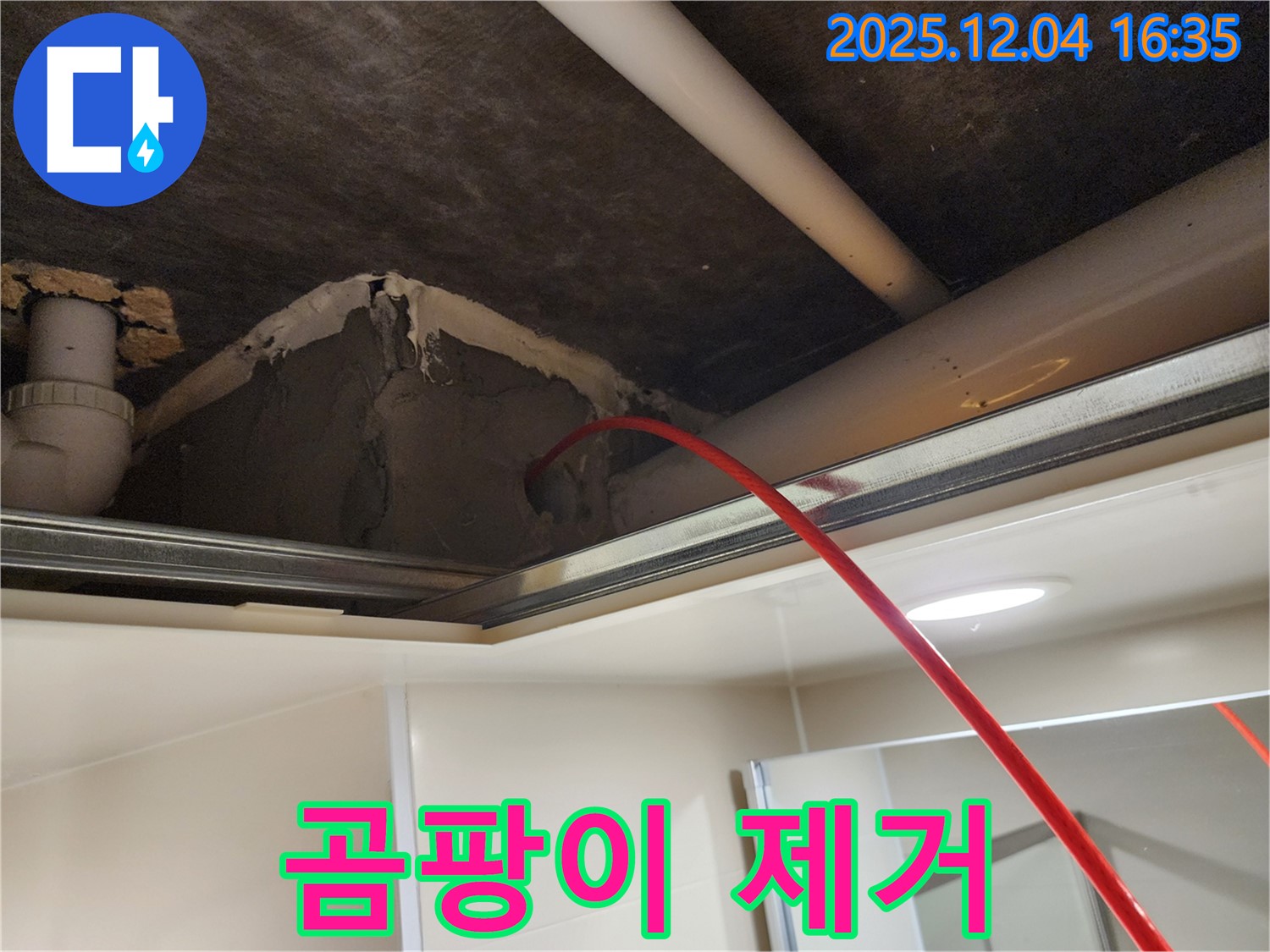 누수로 인한 곰팡이 제거 - 깨끗하게 청소하세요.