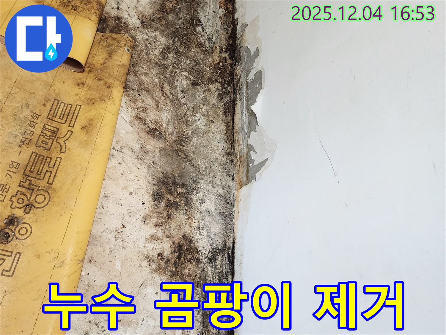 누수와 곰팡이, 벽지 제거 - 정직하고 투명한 견적 제공
