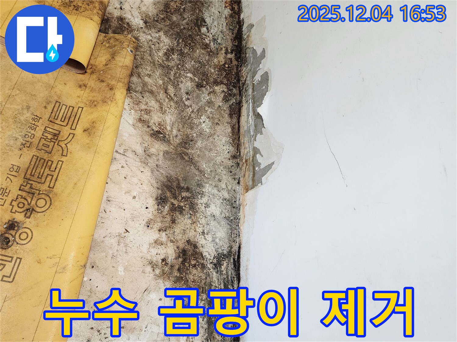 누수와 곰팡이 제거 - 정직한 견적과 책임 시공