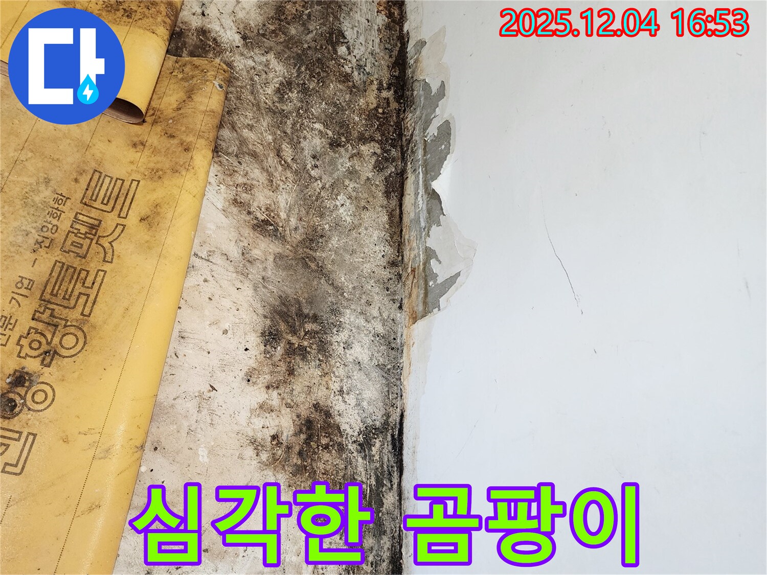 심각한 곰팡이 문제 - 누수 해결이 필수