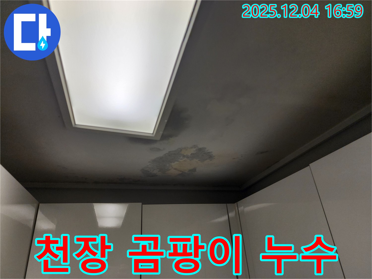 천장 곰팡이 누수 - 건강 위협