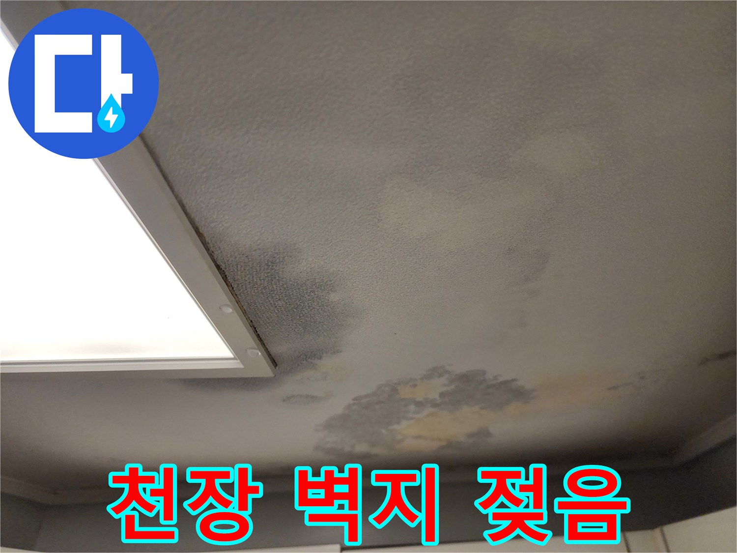 천장 벽지가 습기로 인해 불룩하게 젖어있는 현장