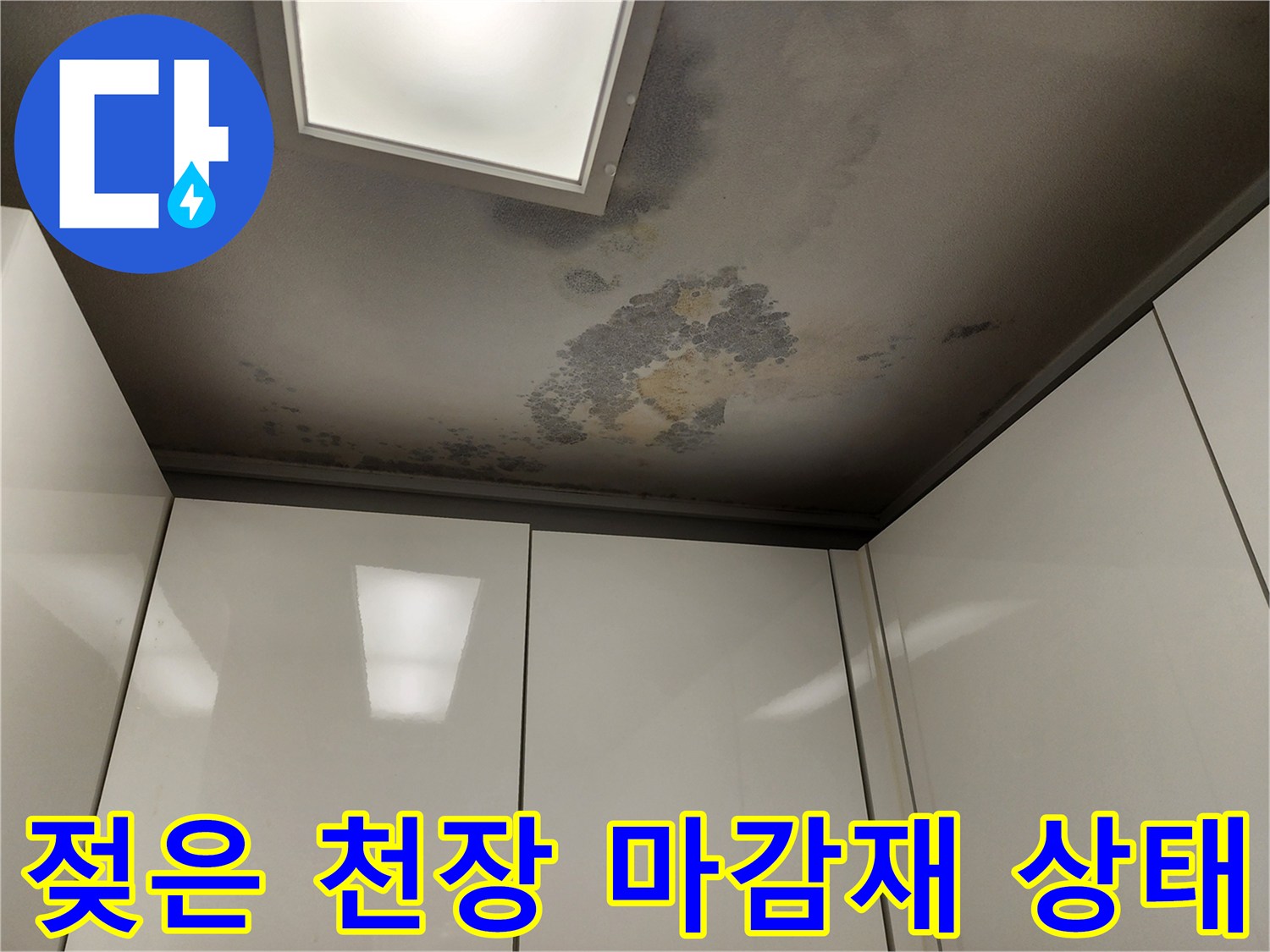 천장 조명 주변의 젖은 듯한 변색 흔적