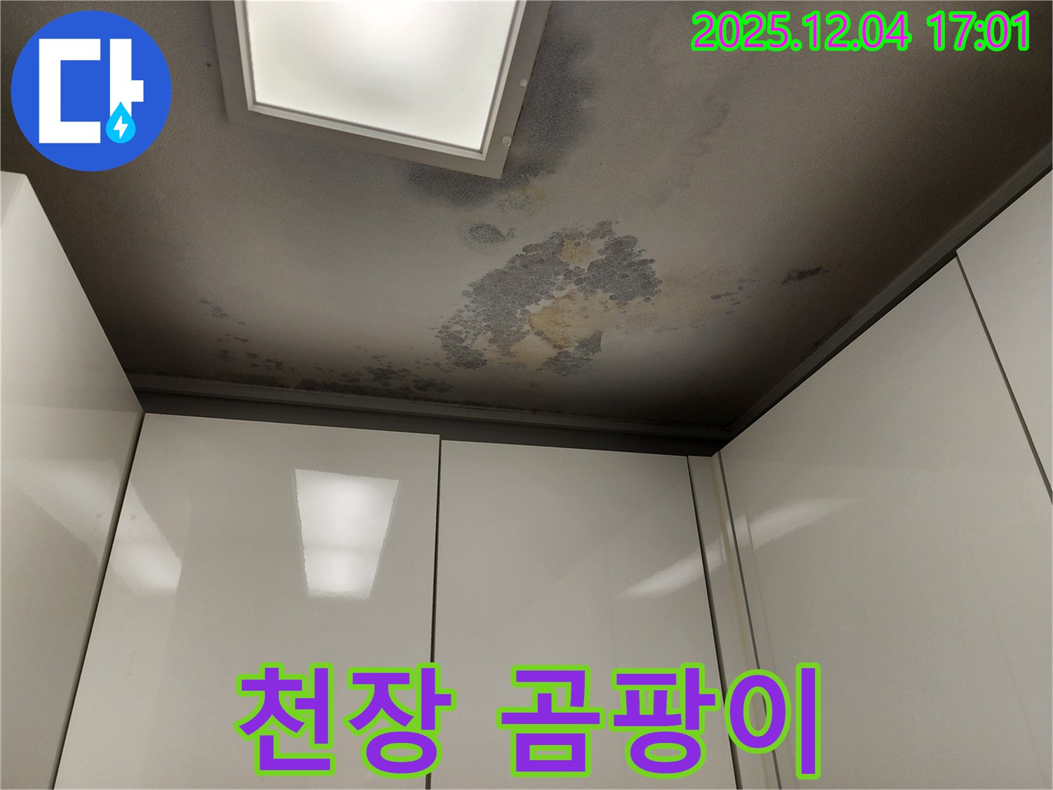 포천 일동면 천장 누수 - 곰팡이로 뒤덮인 천장