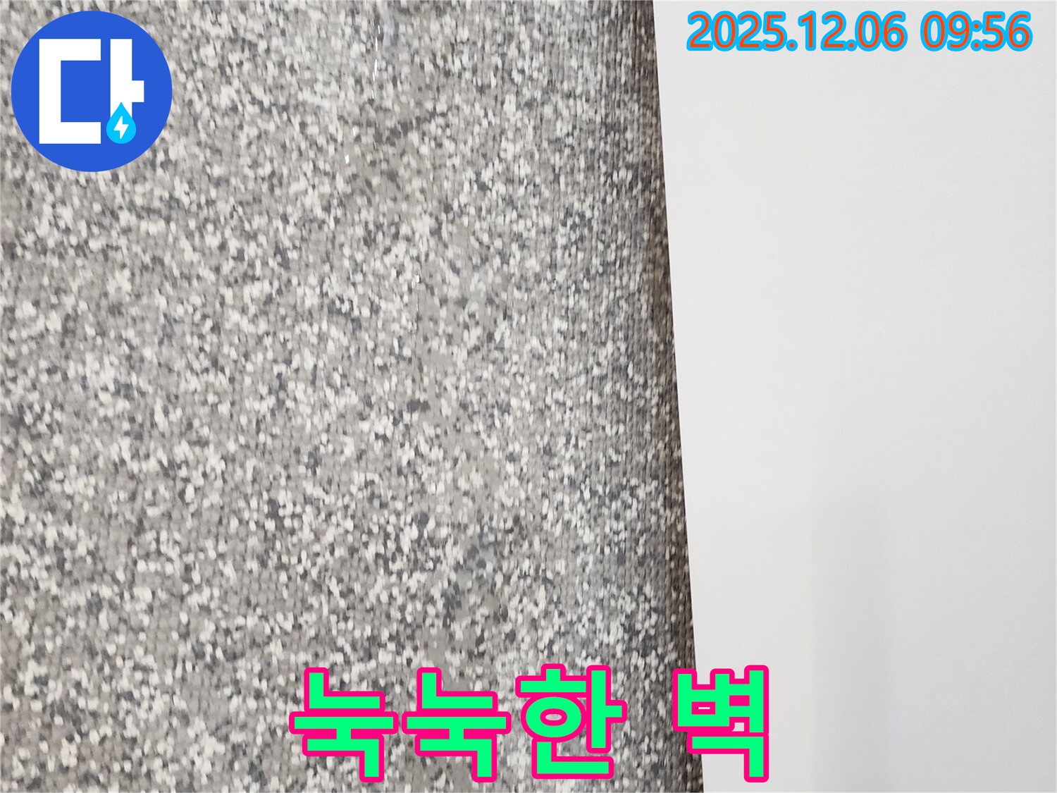 눅눅한 벽 - 꼼꼼한 진단으로 문제 해결!