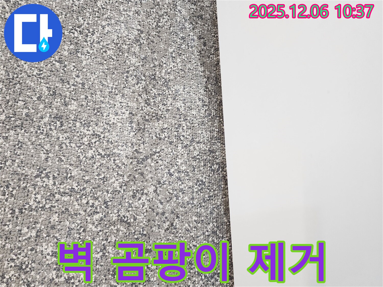 벽 곰팡이 제거 - 건강 위협 - 누수 해결이 우선
