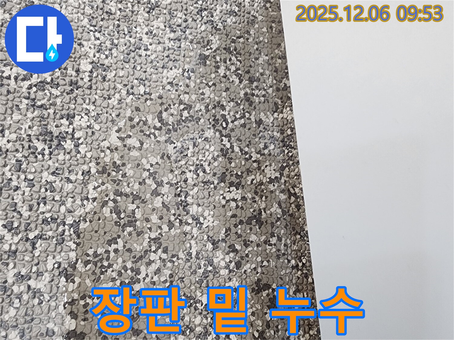 장판 밑 누수 - 엠보싱 장판 아래 습기로 인한 곰팡이 발생 - 누수의 증거