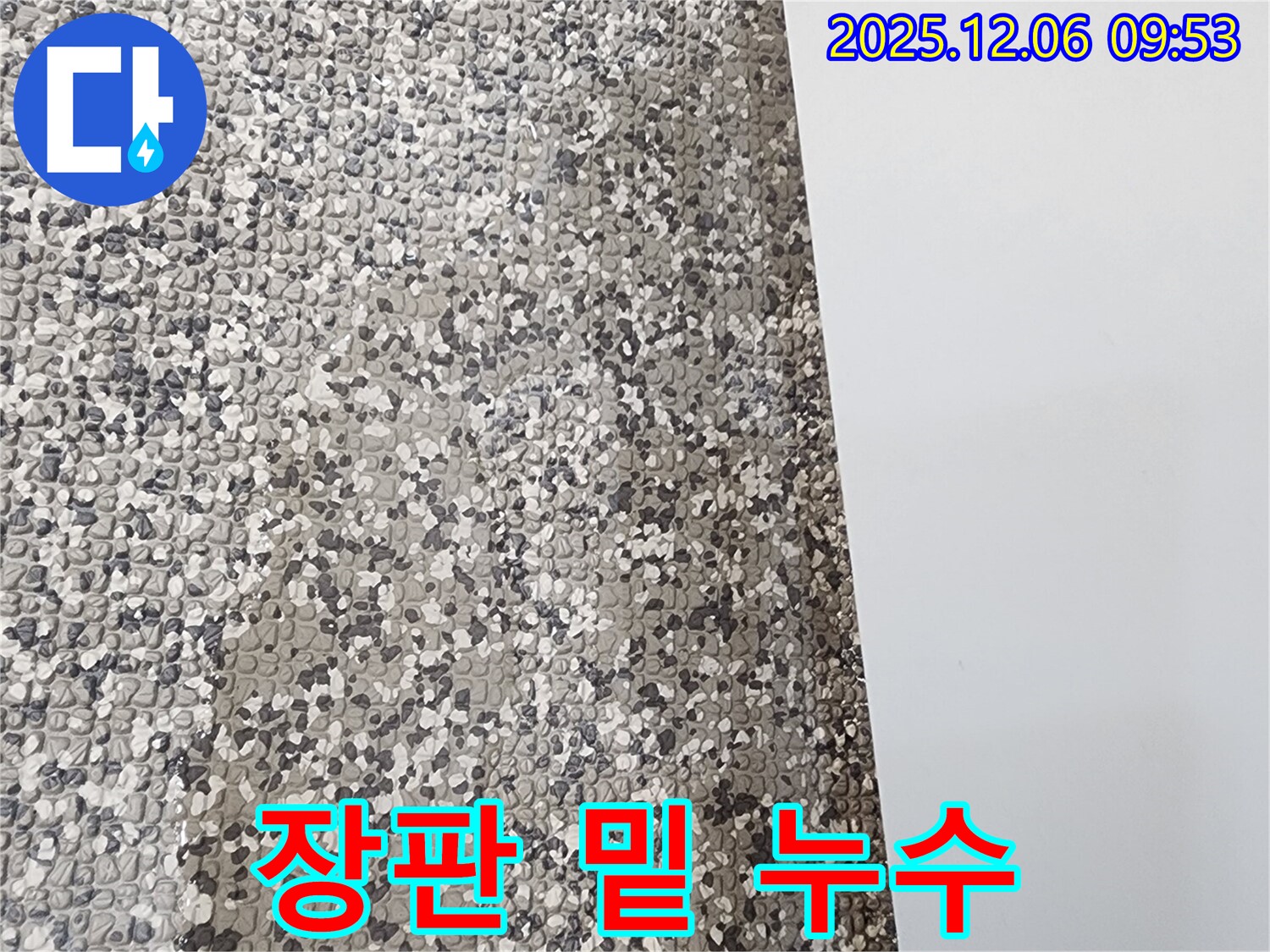 장판 밑 누수 - 장판을 들춰보니 습기와 곰팡이가 가득한 모습 - 심각한 누수