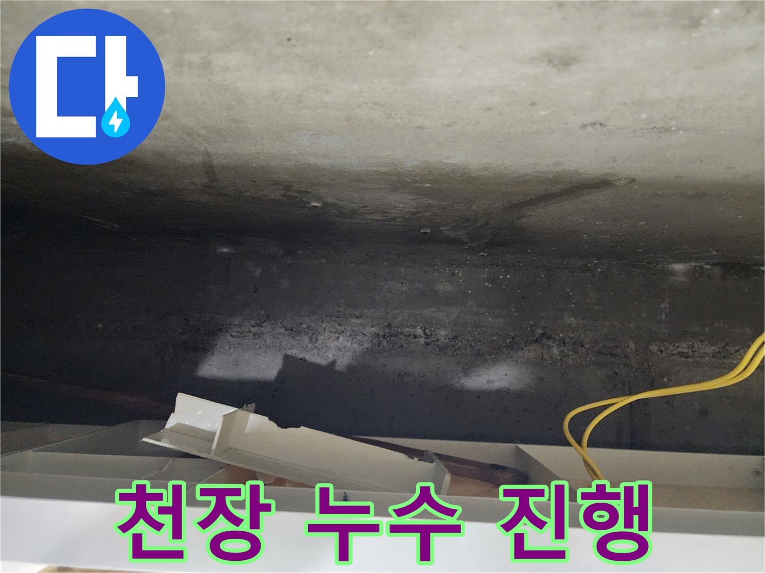 천장 누수 진행 - 누수 범위 확인 중