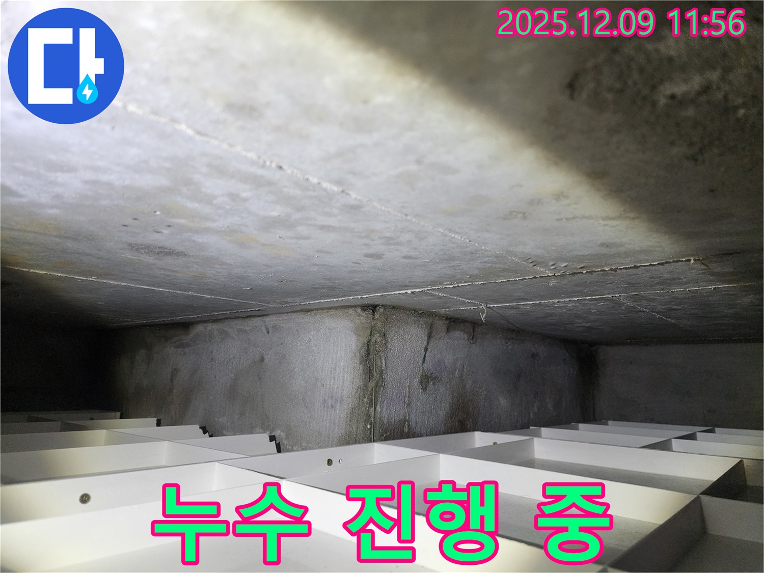 김포 구래동 아파트 누수 진행 중 - 천장 누수