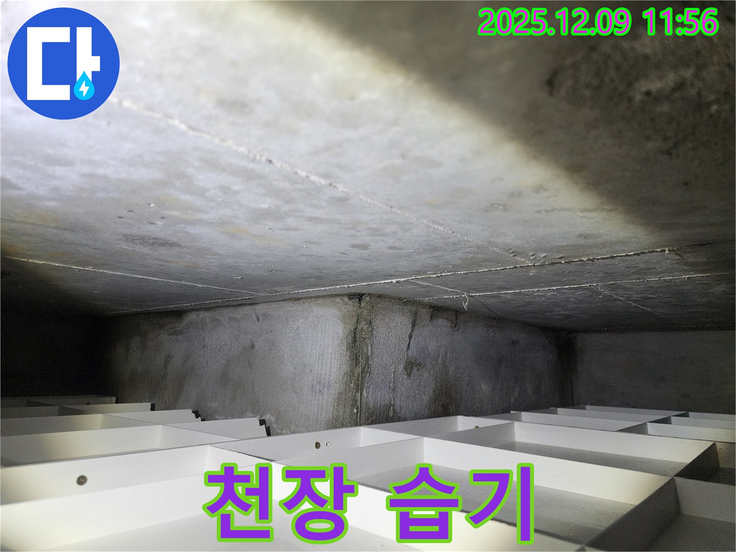 김포 구래동 아파트 천장 습기 - 누수 가능성
