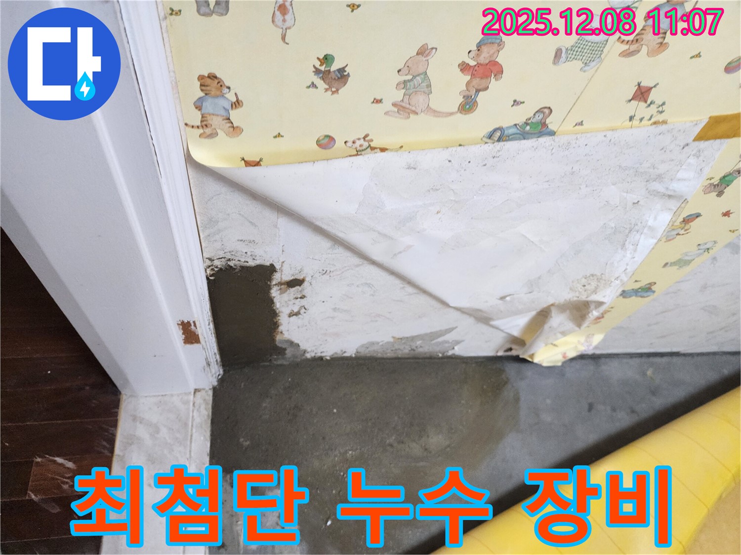 최첨단 누수 장비 - 정확한 탐지 - 빠른 해결